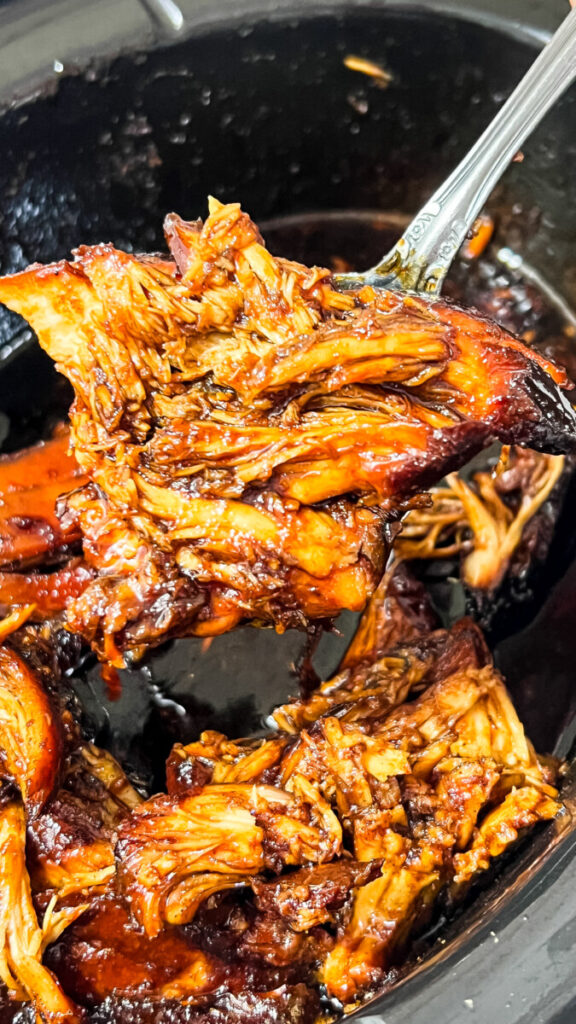 IMG_0114-576x1024 Crockpot Saucy Chicken