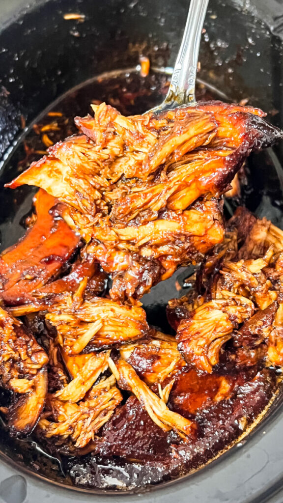 IMG_0117-576x1024 Crockpot Saucy Chicken