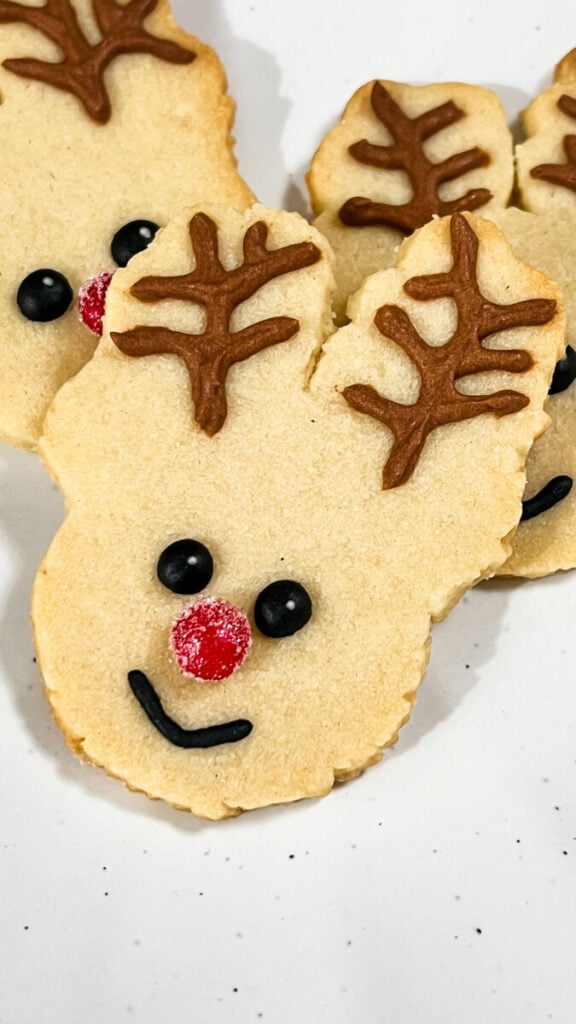 IMG_0442-576x1024 Reindeer Sugar Cookies
