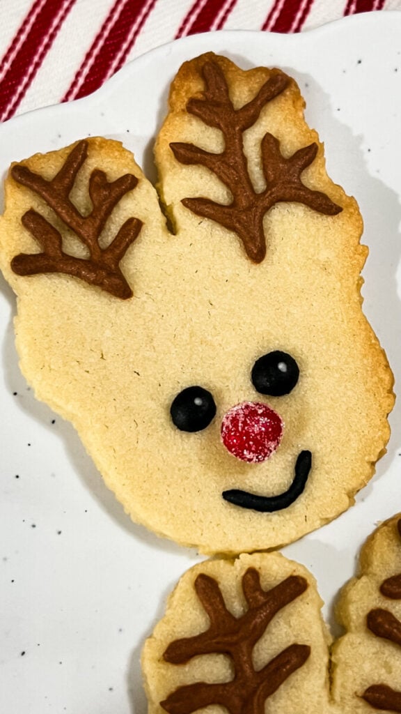 IMG_0445-576x1024 Reindeer Sugar Cookies
