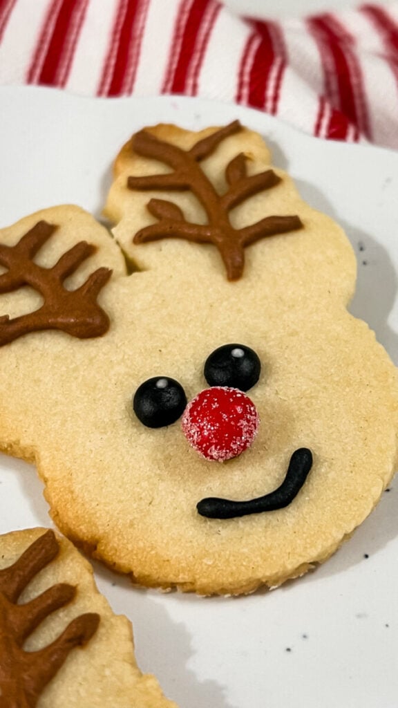 IMG_0448-576x1024 Reindeer Sugar Cookies