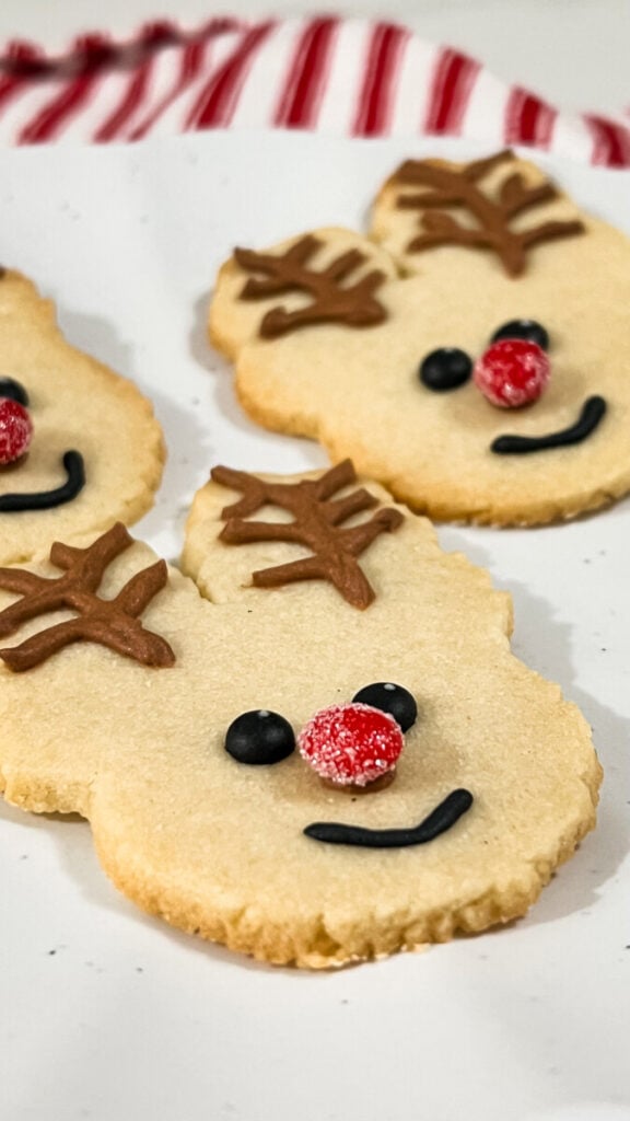 IMG_0449-576x1024 Reindeer Sugar Cookies