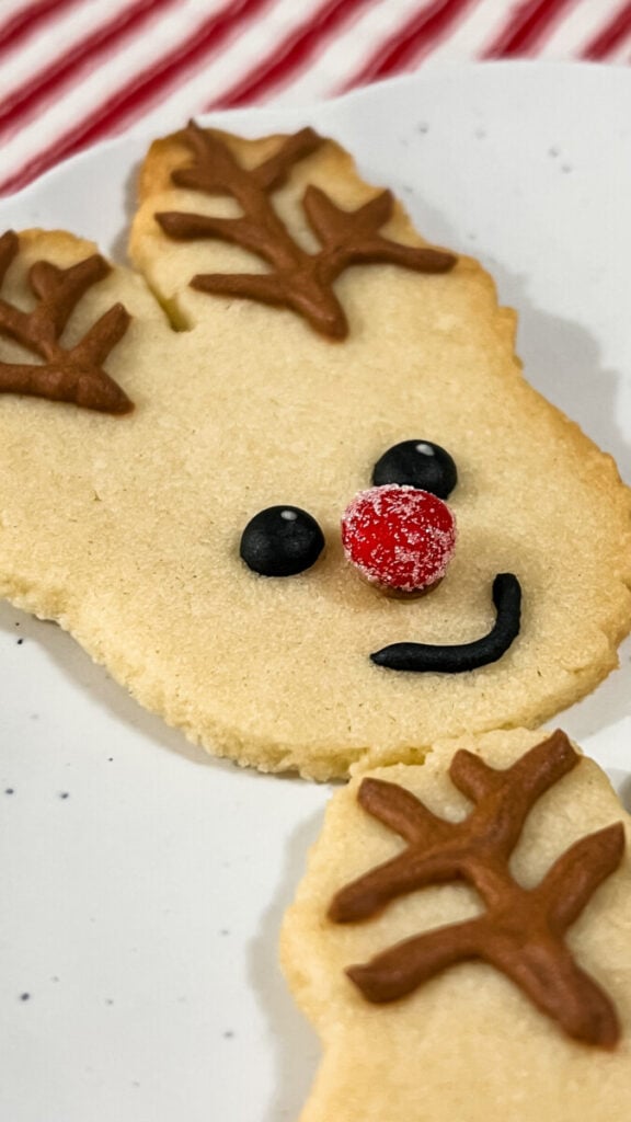 IMG_0451-576x1024 Reindeer Sugar Cookies