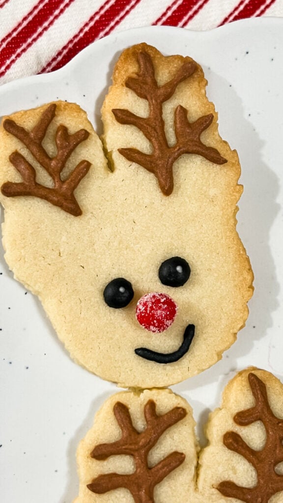 IMG_0455-576x1024 Reindeer Sugar Cookies