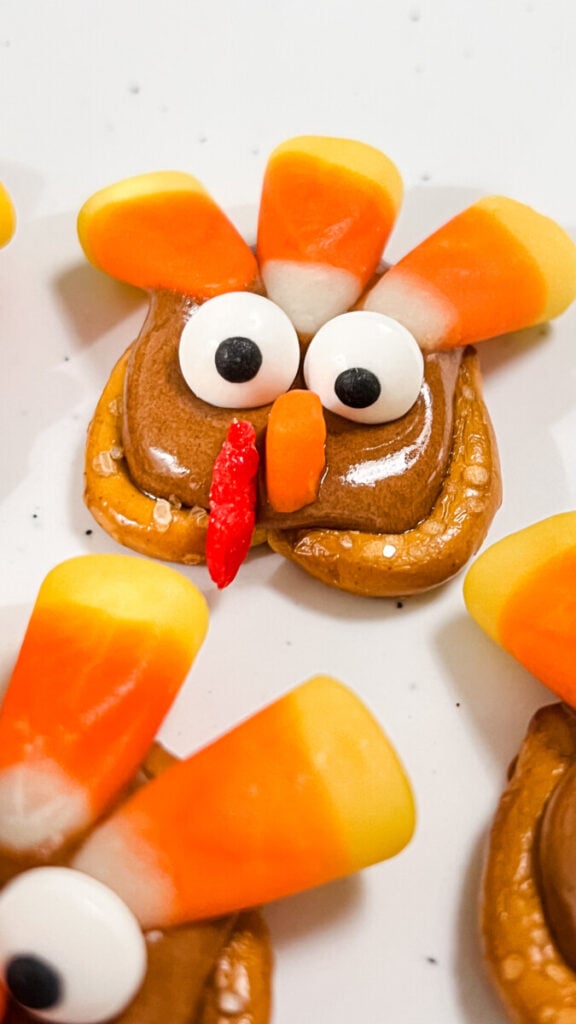 IMG_0627-576x1024 Mini Pretzel Turkeys