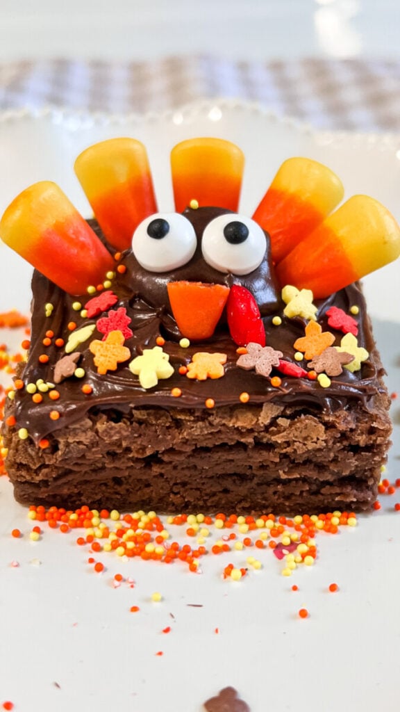IMG_0975-576x1024 Turkey Brownies