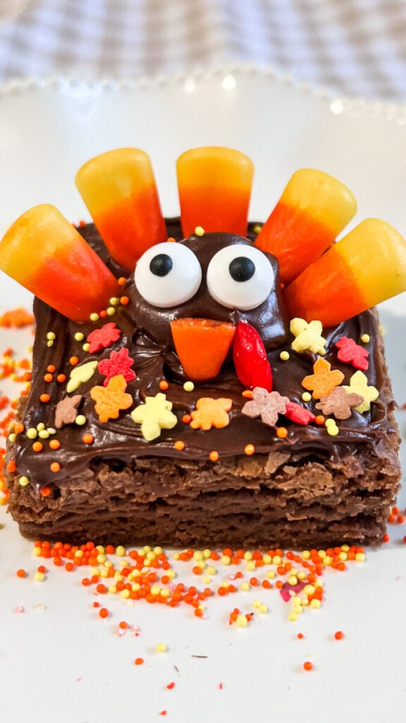 IMG_0979-576x1024 Turkey Brownies
