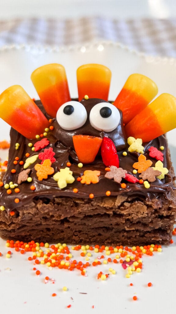 IMG_0981-576x1024 Turkey Brownies