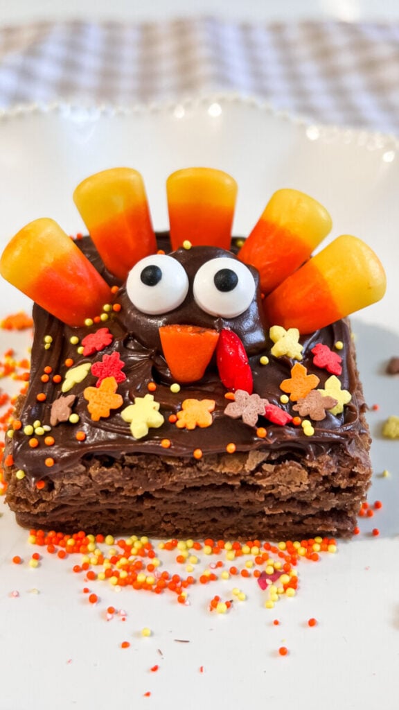 IMG_0984-576x1024 Turkey Brownies