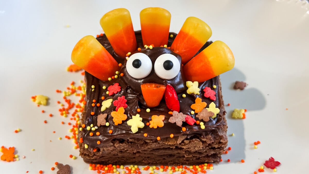  IMG_0987 Turkey Brownies  