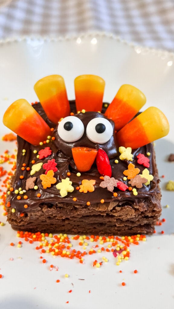 IMG_0988-576x1024 Turkey Brownies