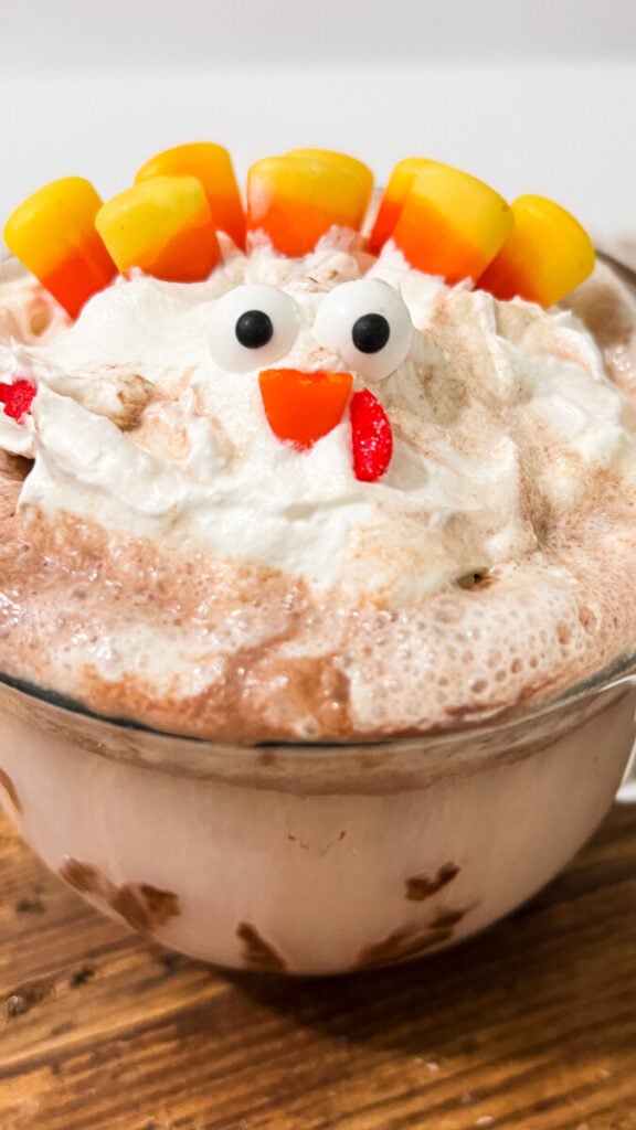  IMG_1048-576x1024 Turkey Hot Cocoa  