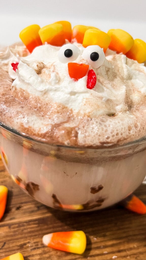 IMG_1065-576x1024 Turkey Hot Cocoa  