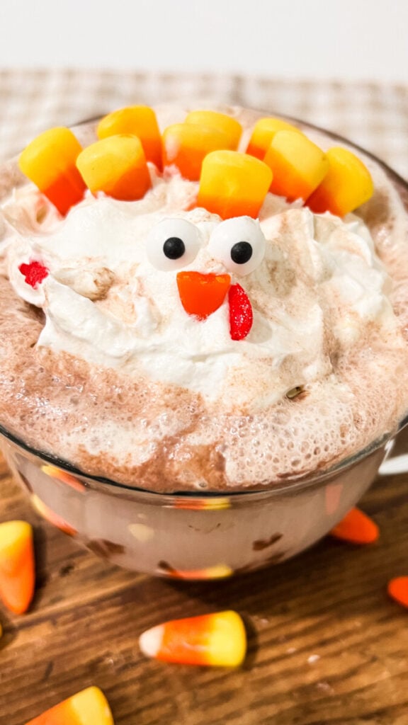  IMG_1067-576x1024 Turkey Hot Cocoa  