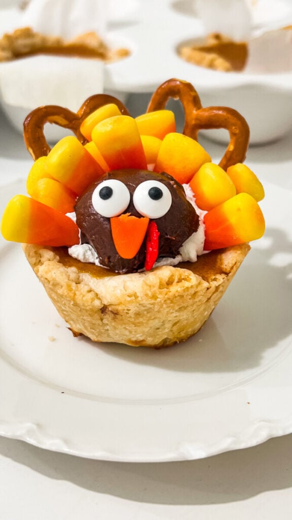  IMG_1188-576x1024 Mini Pumpkin Pie Turkeys  