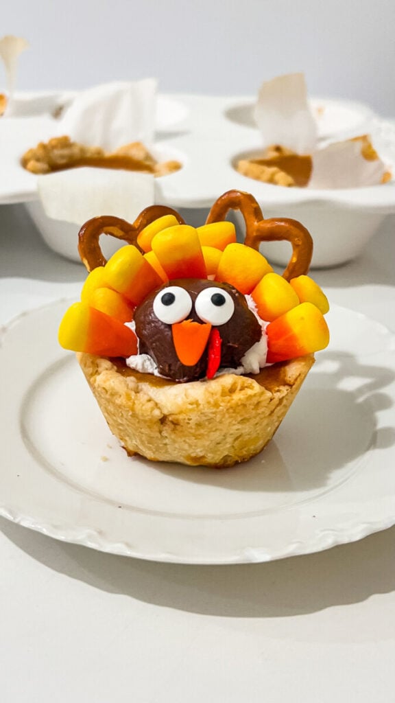  IMG_1193-576x1024 Mini Pumpkin Pie Turkeys  
