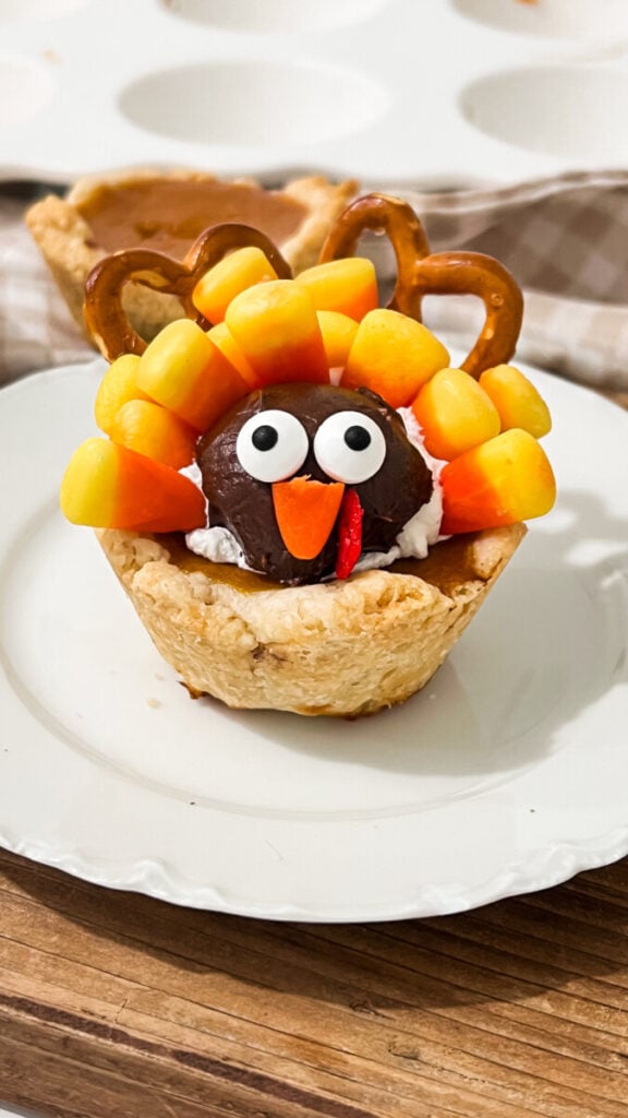  IMG_1196-576x1024 Mini Pumpkin Pie Turkeys  
