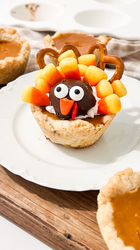  IMG_1199-576x1024 Mini Pumpkin Pie Turkeys  