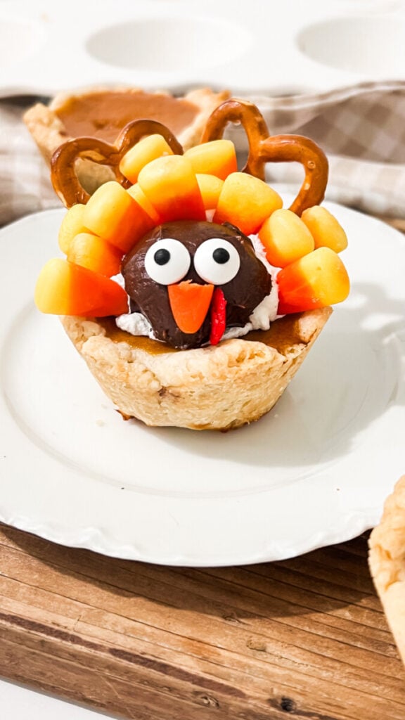  IMG_1200-576x1024 Mini Pumpkin Pie Turkeys  