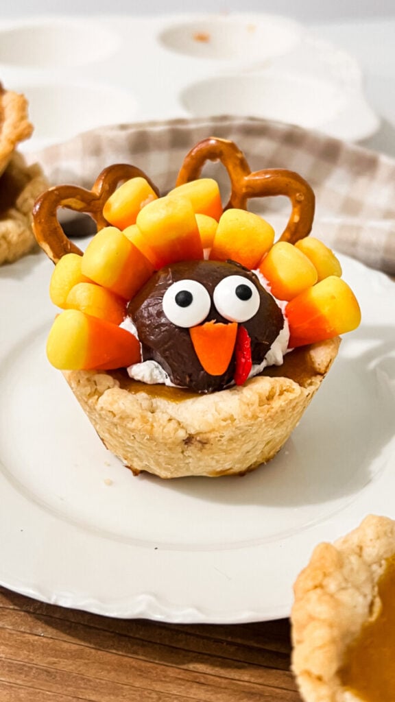 IMG_1214-576x1024 Mini Pumpkin Pie Turkeys  