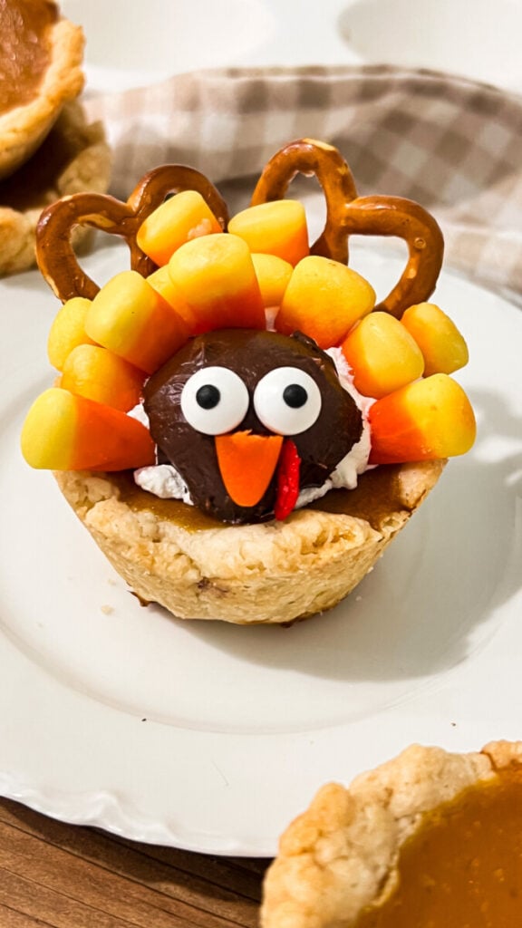  IMG_1218-576x1024 Mini Pumpkin Pie Turkeys  