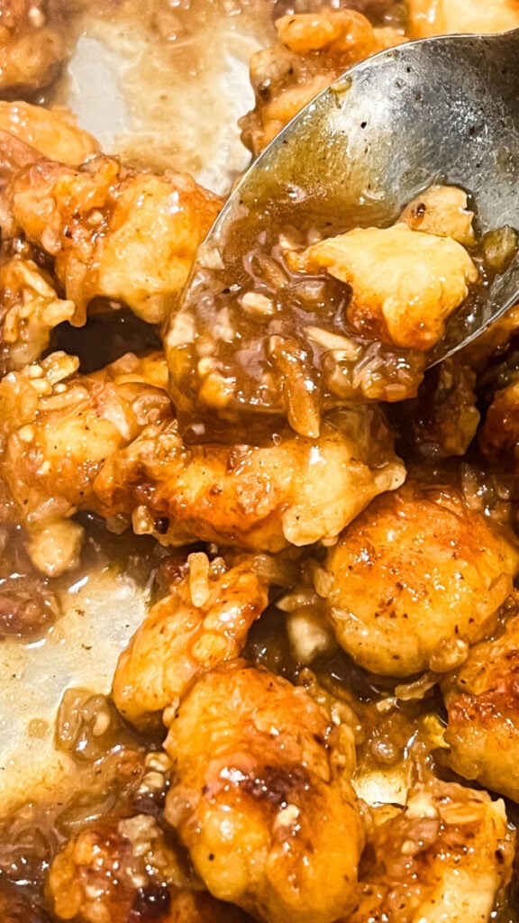  IMG_1599-576x1024 French Onion Chicken Bites  