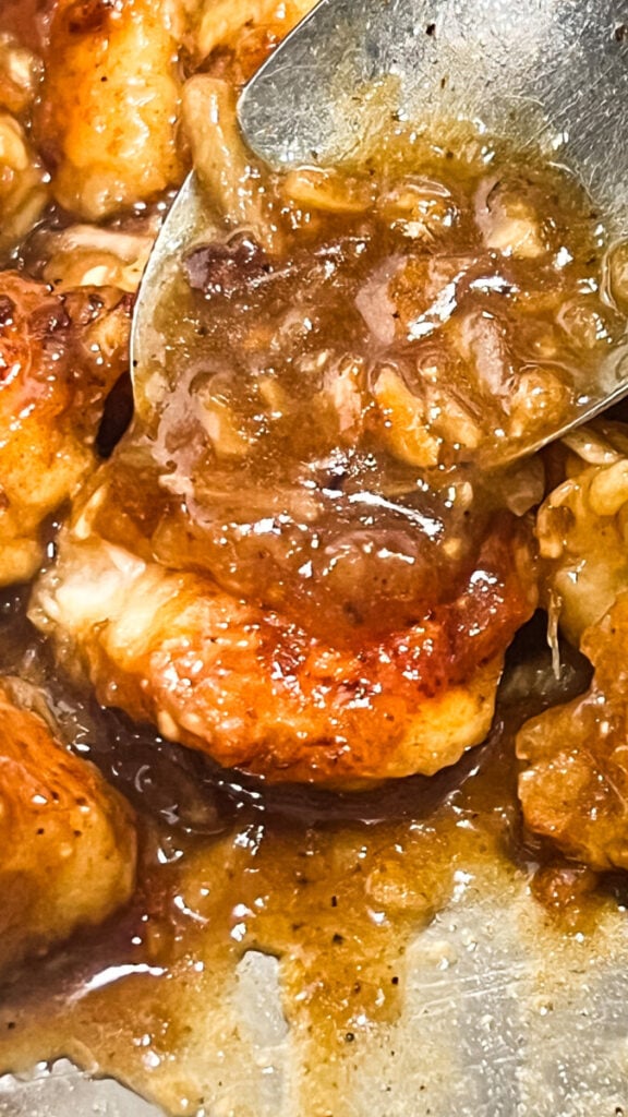  IMG_1602-576x1024 French Onion Chicken Bites  
