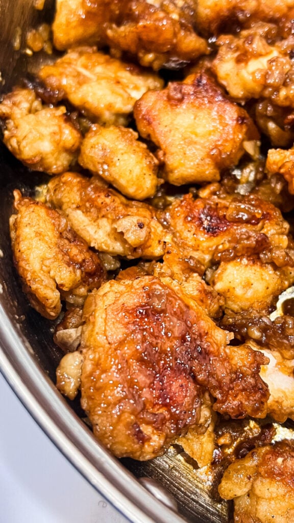 IMG_1614-576x1024 French Onion Chicken Bites  