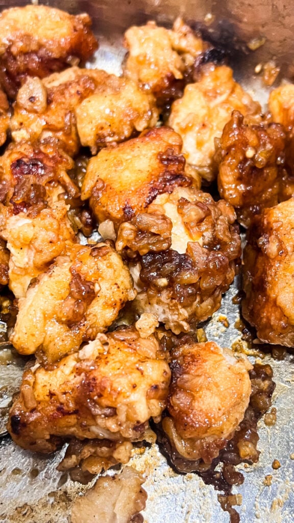  IMG_1616-576x1024 French Onion Chicken Bites  