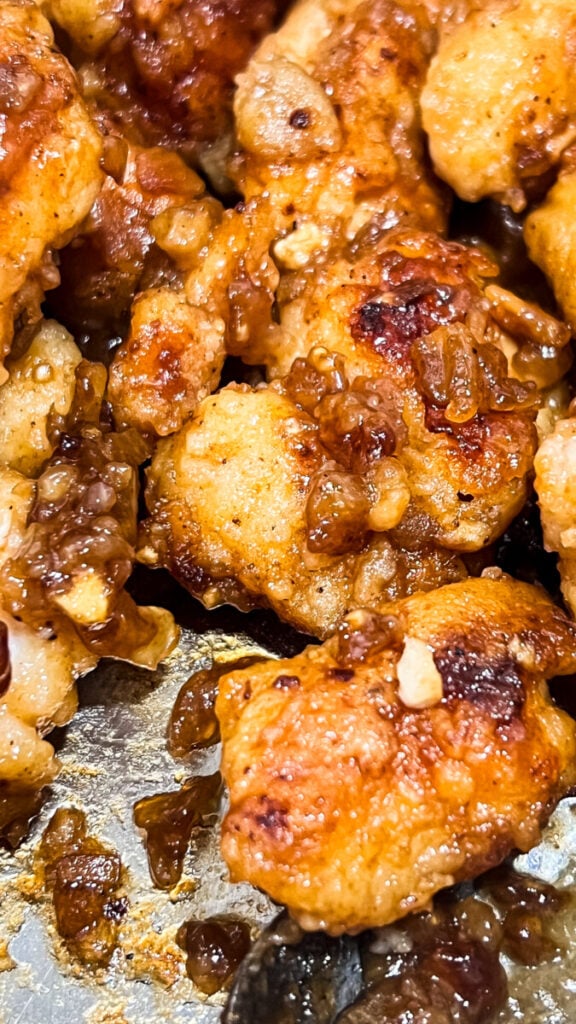  IMG_1619-576x1024 French Onion Chicken Bites  