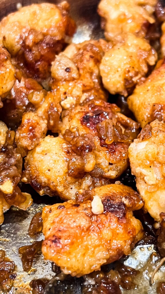  IMG_1620-576x1024 French Onion Chicken Bites  