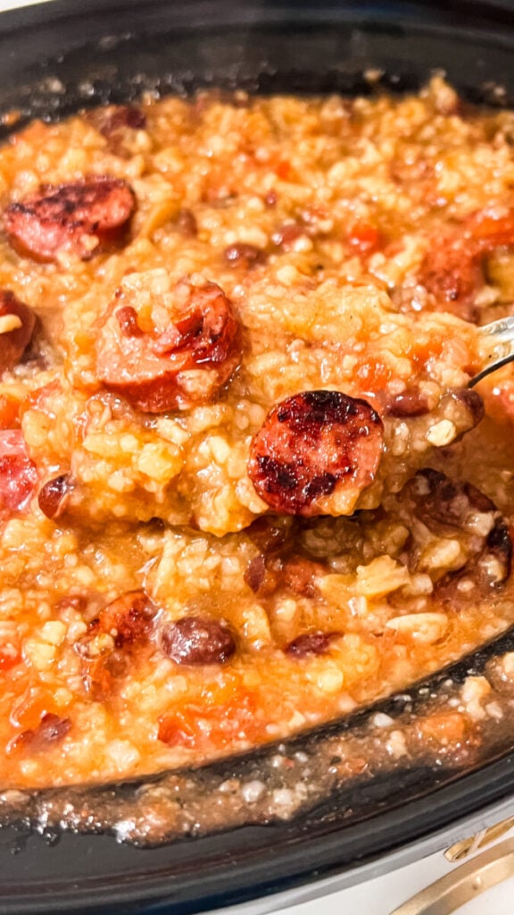  IMG_1666-576x1024 Crockpot Red Beans and Rice  