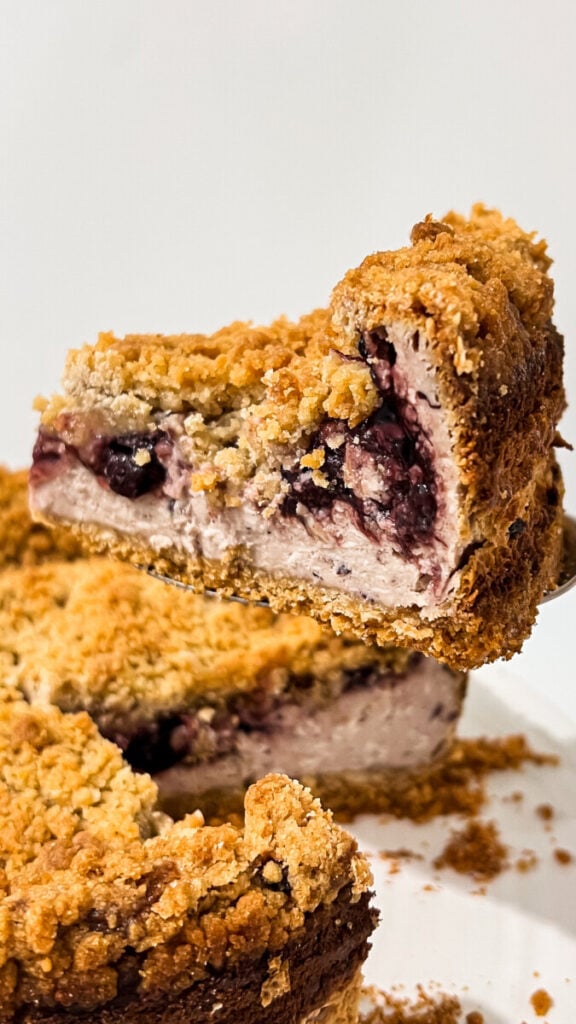 IMG_1743-576x1024 Blackberry Cobbler Cheesecake