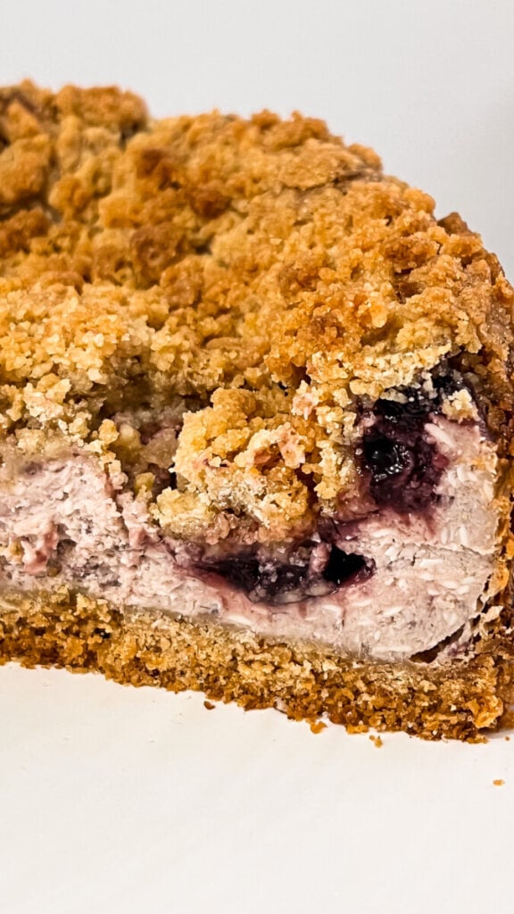 IMG_1757-576x1024 Blackberry Cobbler Cheesecake