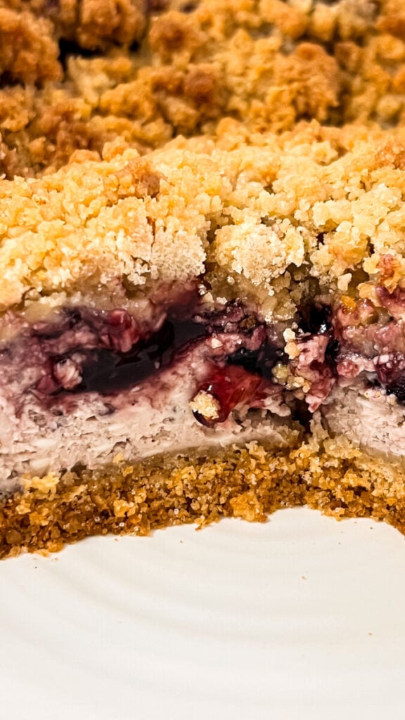 IMG_1758-576x1024 Blackberry Cobbler Cheesecake
