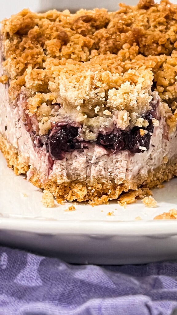 IMG_1766-576x1024 Blackberry Cobbler Cheesecake
