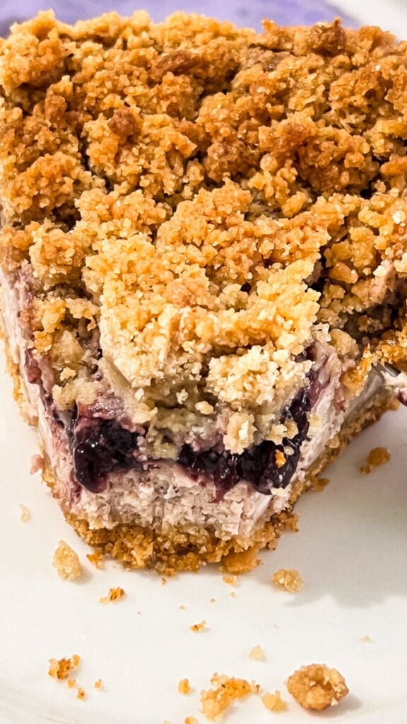 IMG_1779-576x1024 Blackberry Cobbler Cheesecake