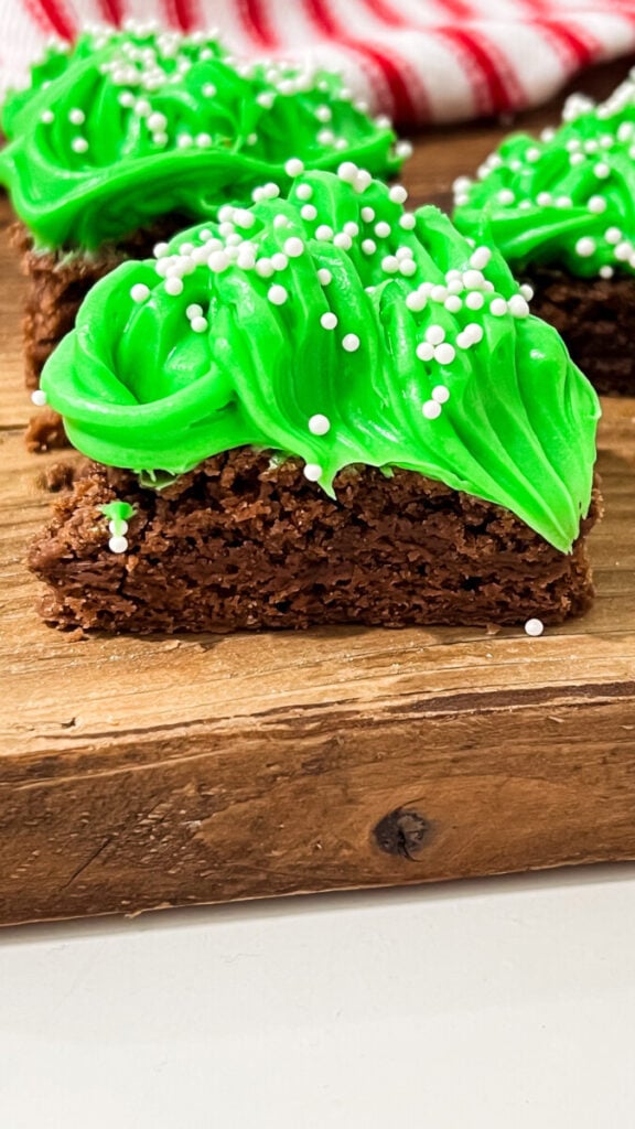 IMG_1953-576x1024 Christmas Tree Brownies