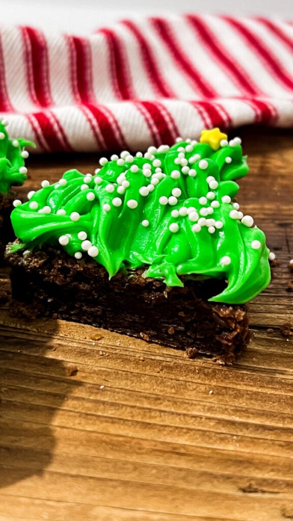 IMG_1958-576x1024 Christmas Tree Brownies