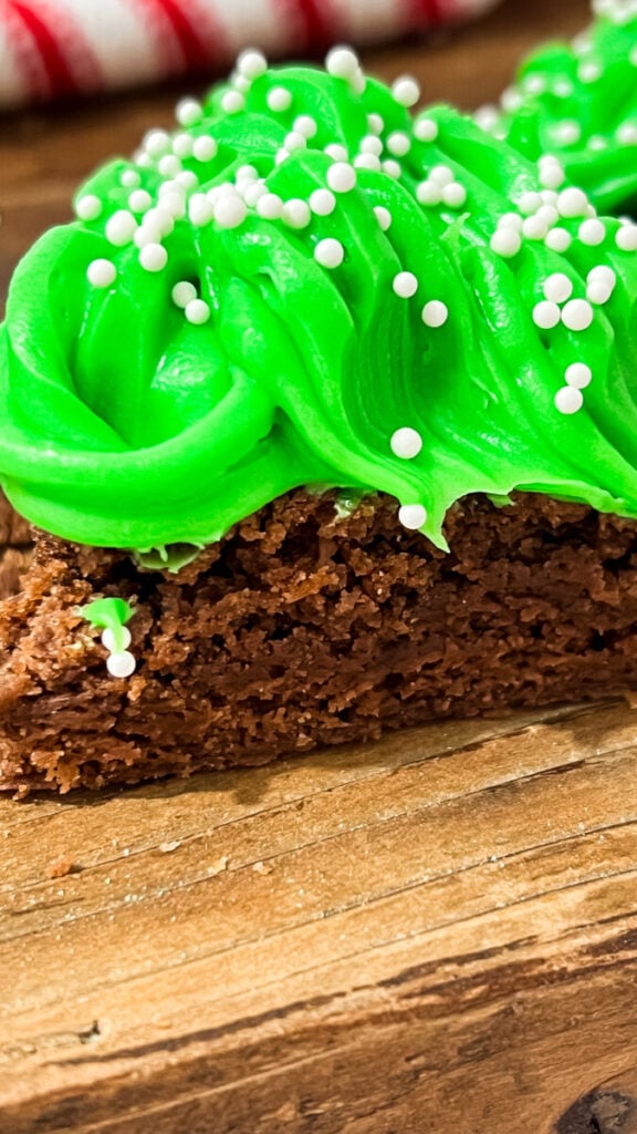 IMG_1961-576x1024 Christmas Tree Brownies