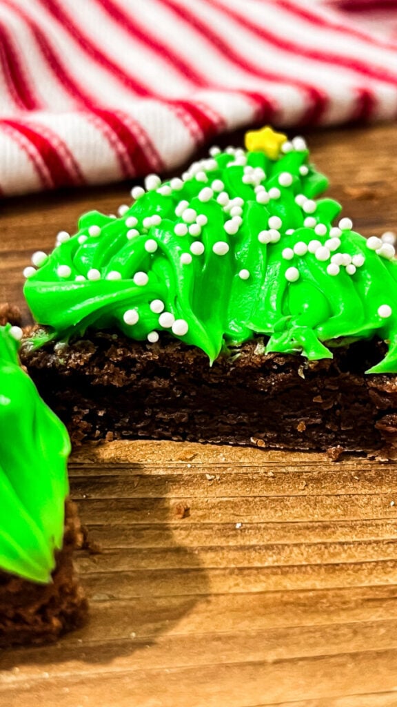 IMG_1967-576x1024 Christmas Tree Brownies