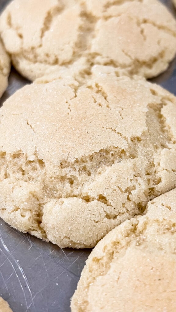 IMG_2022-576x1024 Small Batch Sugar Cookies