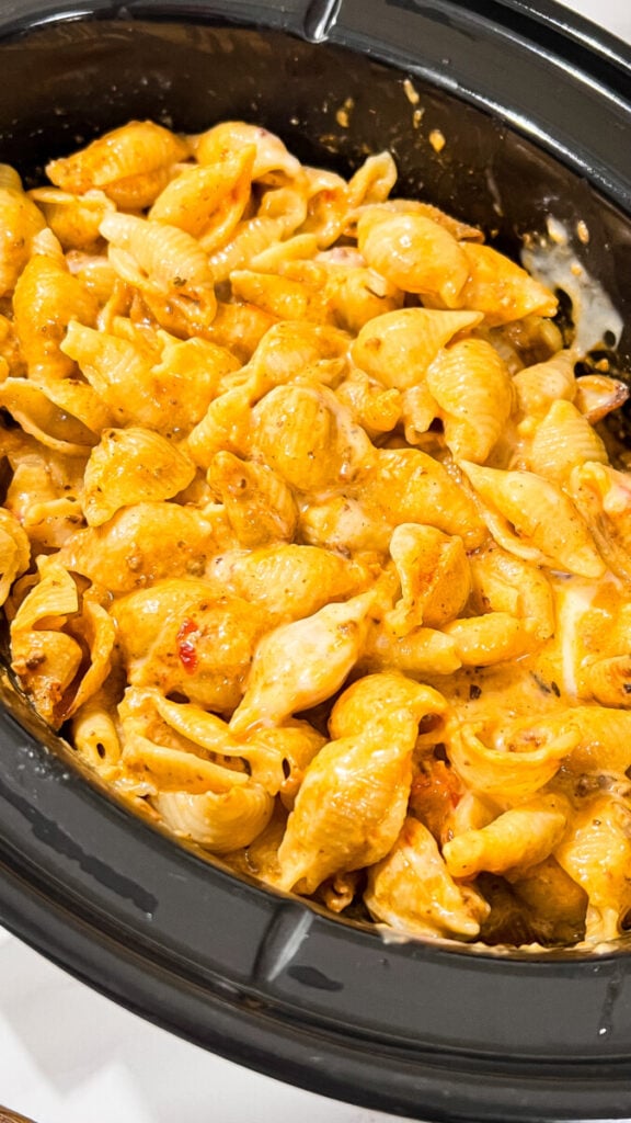 IMG_2284-576x1024 Crockpot Creamy Beef and Shells