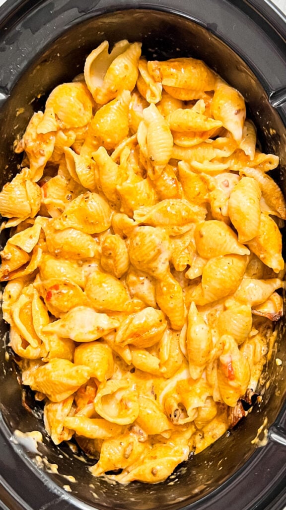 IMG_2285-576x1024 Crockpot Creamy Beef and Shells