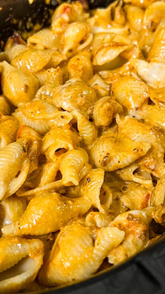 IMG_2290-576x1024 Crockpot Creamy Beef and Shells