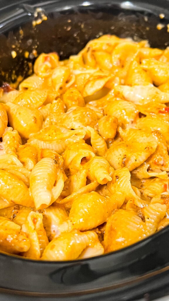 IMG_2291-576x1024 Crockpot Creamy Beef and Shells