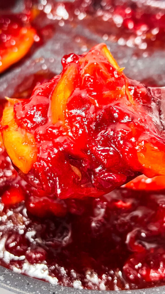  IMG_2936-576x1024 Homemade Cranberry Orange Jam  