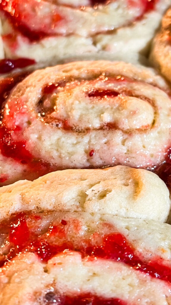IMG_2978-576x1024 Cranberry Orange Cinnamon Rolls