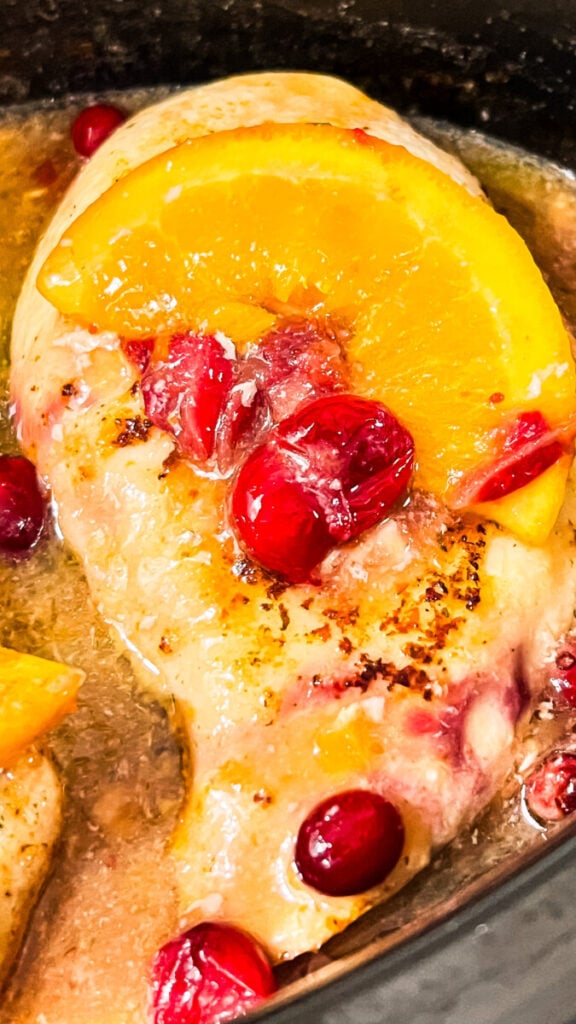  IMG_2987-576x1024 Crockpot Cranberry Orange Chicken  
