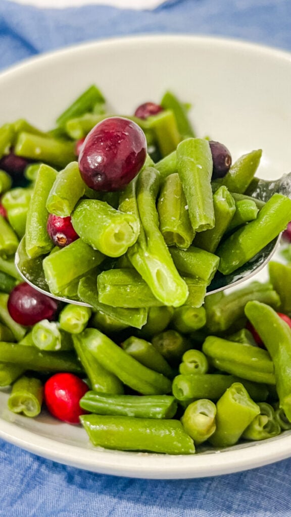 IMG_3198-576x1024 50 Best Green Bean Recipes